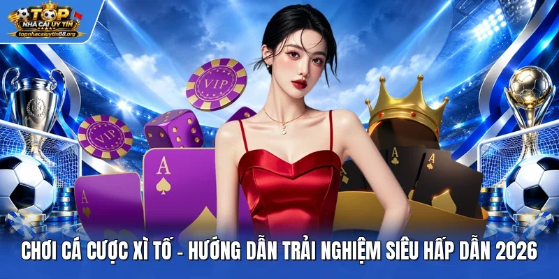 Chơi Cá Cược Xì Tố - Hướng Dẫn Trải Nghiệm Siêu Hấp Dẫn 2026