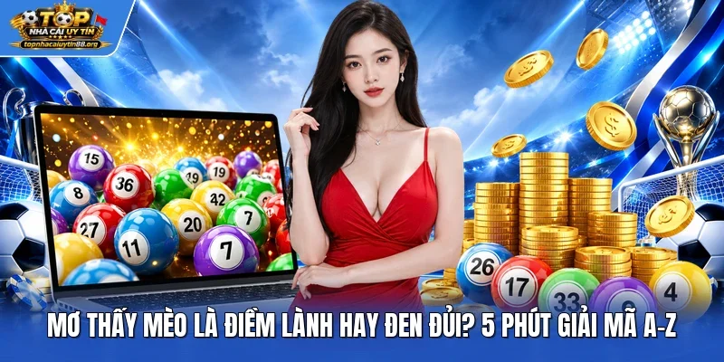 Mơ Thấy Mèo Là Điềm Lành Hay Đen Đủi? 5 Phút Giải Mã A-Z