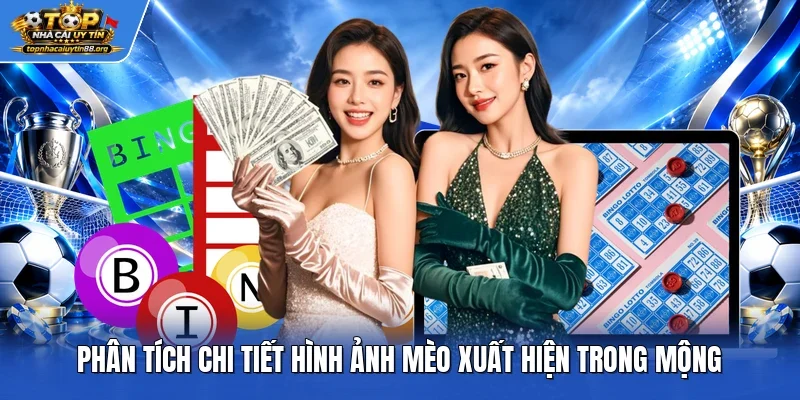 Phân tích chi tiết hình ảnh mèo xuất hiện trong mộng