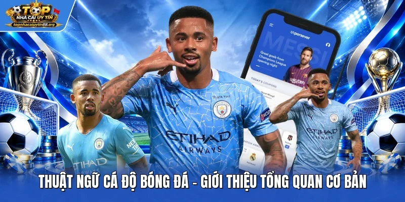 Thuật ngữ cá độ bóng đá - Giới thiệu tổng quan cơ bản Thuật ngữ cá độ bóng đá - Giới thiệu tổng quan cơ bản