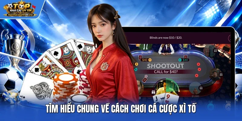 Tìm hiểu chung về cách chơi cá cược xì tố