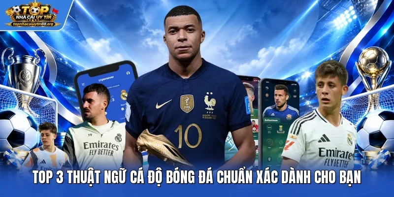 Top 3 Thuật Ngữ Cá Độ Bóng Đá Chuẩn Xác Dành Cho Bạn
